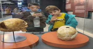 28-11-2024